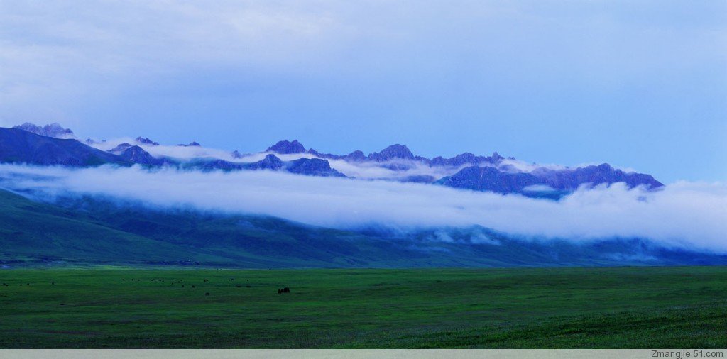 ������ɫ1